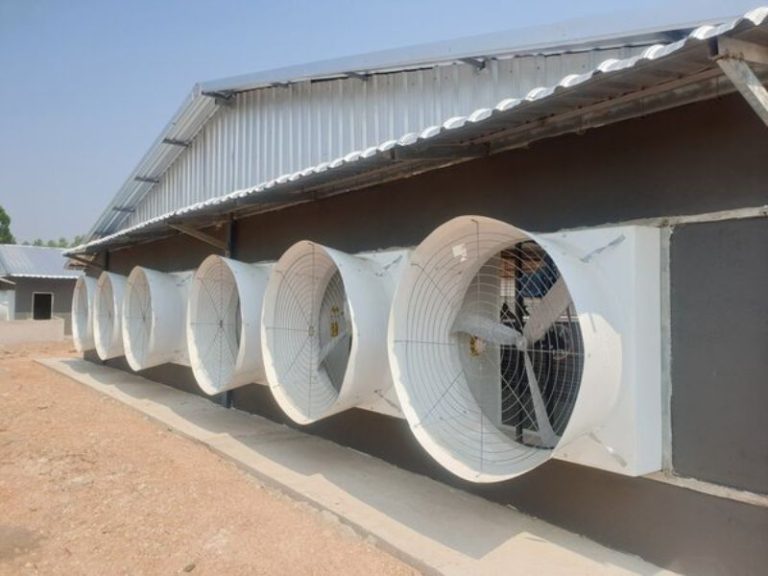 lắp đặt quạt thông gió nhà xưởng đúng kỹ thuật