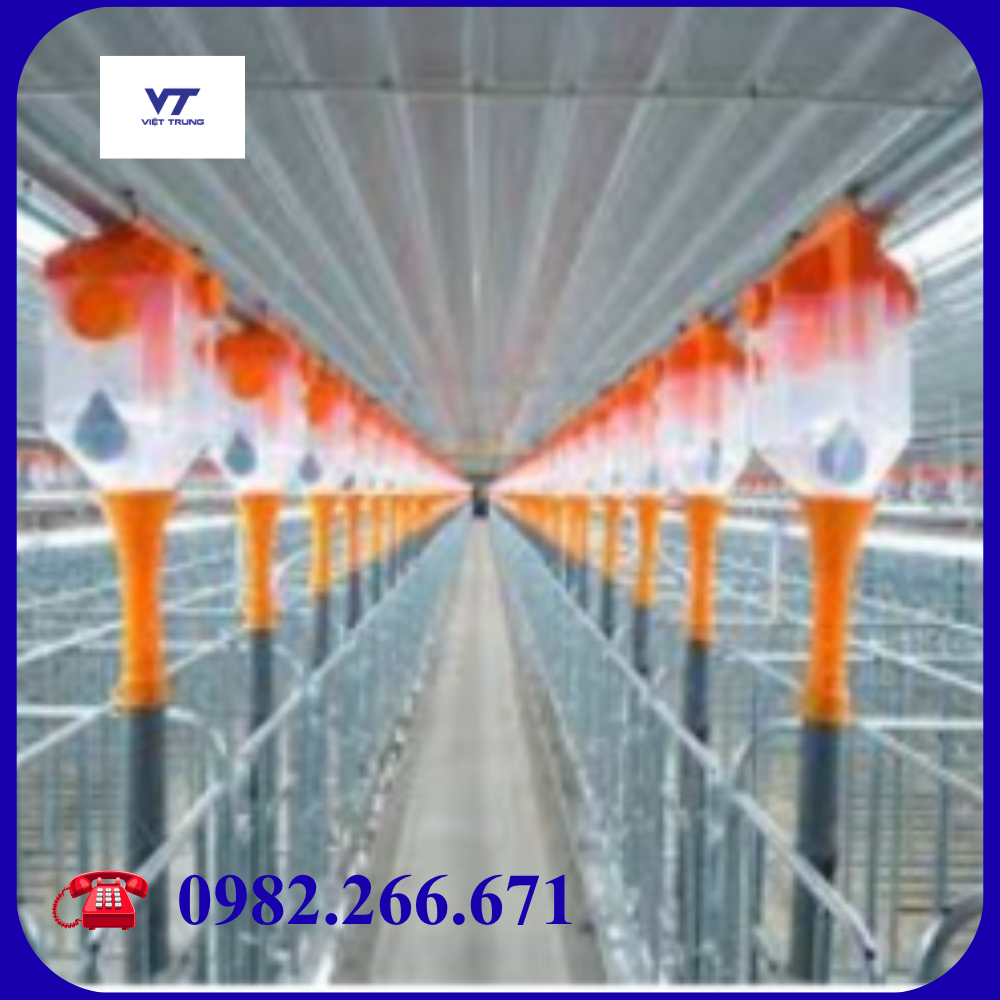 HỘP ĐỊNH LƯỢNG CÁM