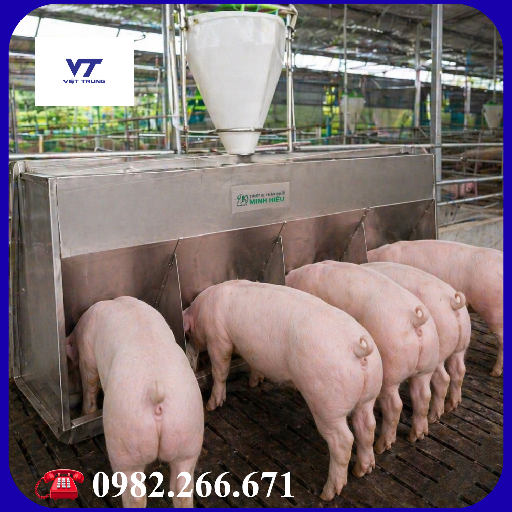 MÁNG ĂN CHO HEO THỊT 1.5m