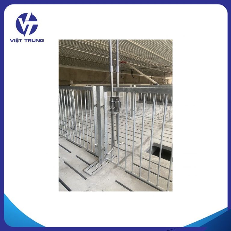 CÂY UỐNG NƯỚC CHO HEO