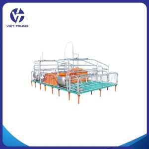 CHUỒNG HEO NÁI ĐẺ