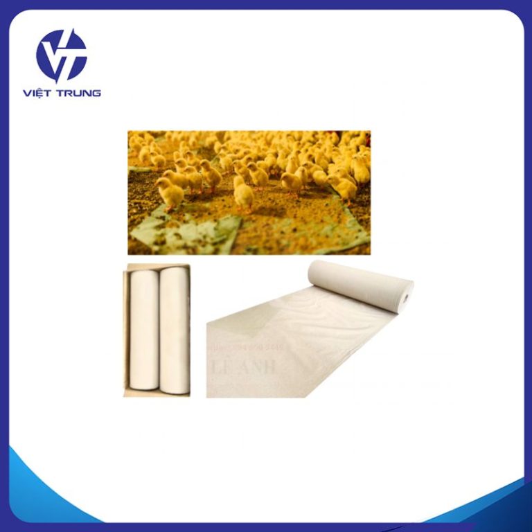 GIẤY TẬP ĂN CHO GÀ CON