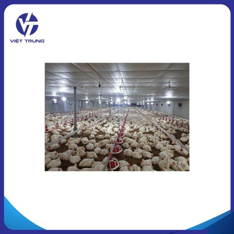 HỆ THỐNG ĂN TỰ ĐỘNG CHO GÀ (MODEL 1)