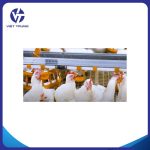 HỆ THỐNG UỐNG NƯỚC TỰ ĐỘNG CHO GÀ