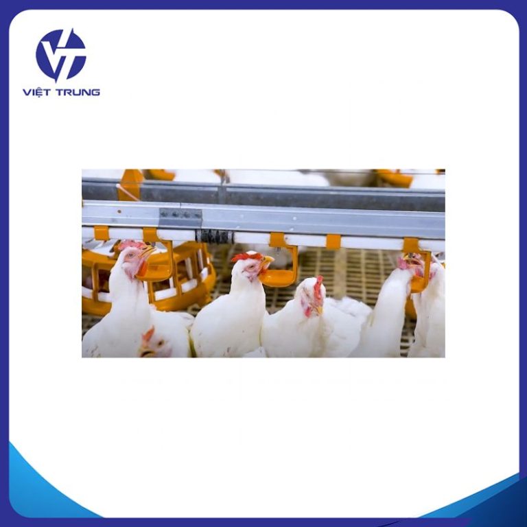 HỆ THỐNG UỐNG NƯỚC TỰ ĐỘNG CHO GÀ