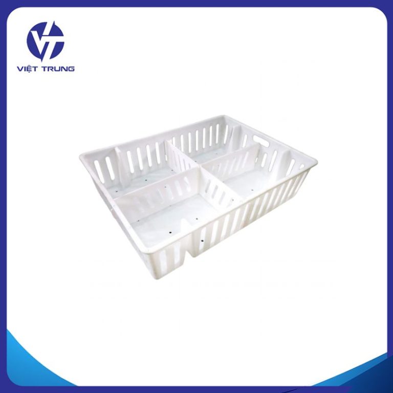 Khay đựng gà con