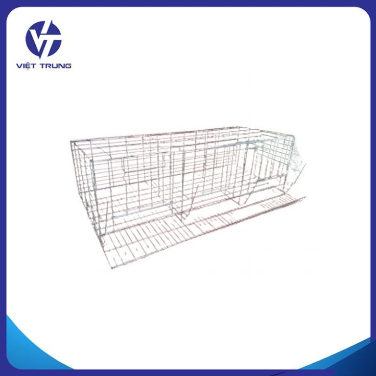 Lồng gà đẻ trứng