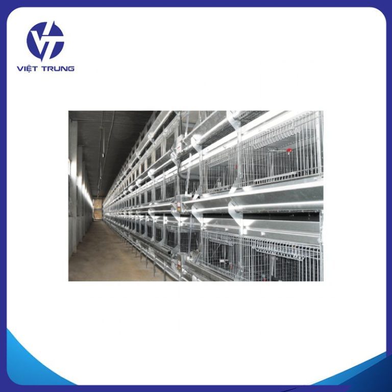 LỒNG GÀ ĐẺ TRỨNG DẠNG CHỮ H