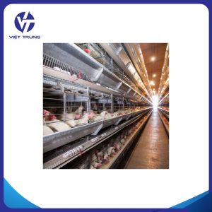 LỒNG GÀ ĐẺ TRỨNG DẠNG CHỮ H