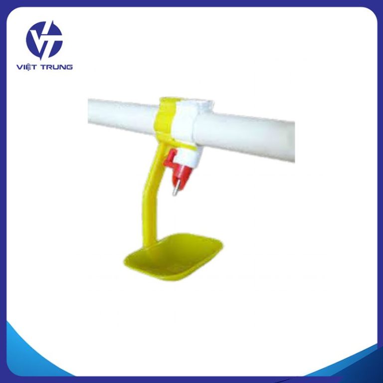 NÚM UỐNG CHO VỊT