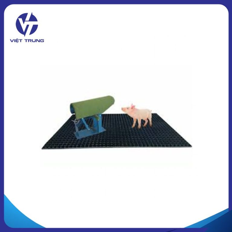TẤM LÓT CHỐNG TRƯỢT CHO HEO LẤY TINH