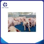 TẤM NHỰA LÓT SÀN CHUỒNG HEO 3 CHỐT 40X60CM