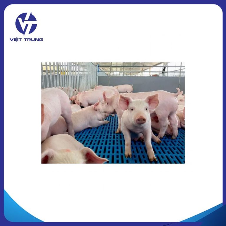 TẤM NHỰA LÓT SÀN CHUỒNG HEO 3 CHỐT 40X60CM