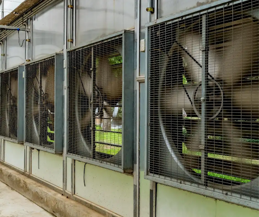 Quạt thông gió trang trại chăn nuôi