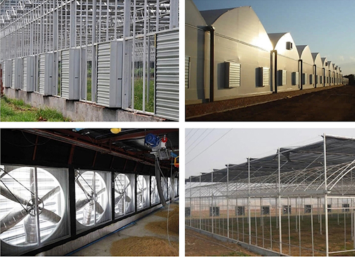 quạt hút công nghiệp