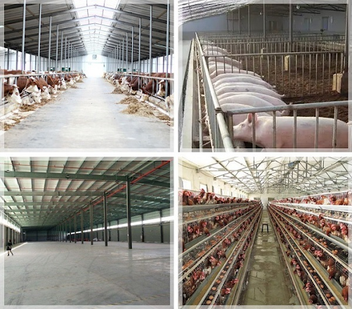 quạt hút công nghiệp