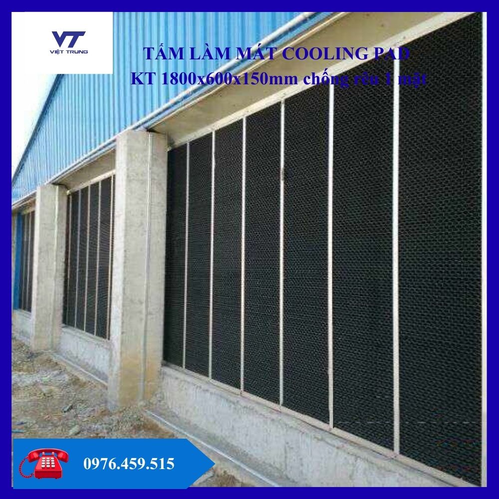 Tấm cooling pad chống rêu 1 mặt 1800mm