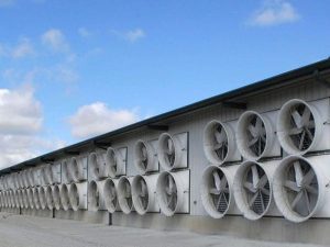 Cách chọn mua quạt thông gió nhà kho tiết kiệm chi phí