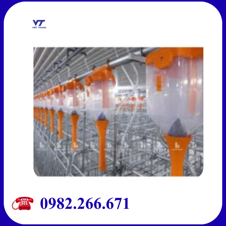 HỘP ĐỊNH LƯỢNG CÁM